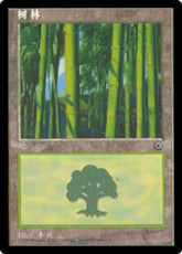 Floresta / Forest - Magic: The Gathering - MoxLand